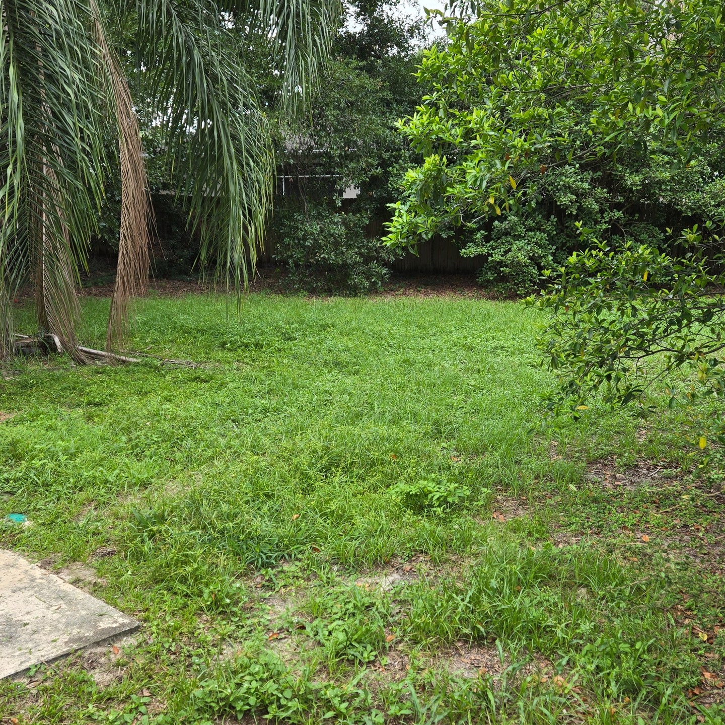 Debary1 Before