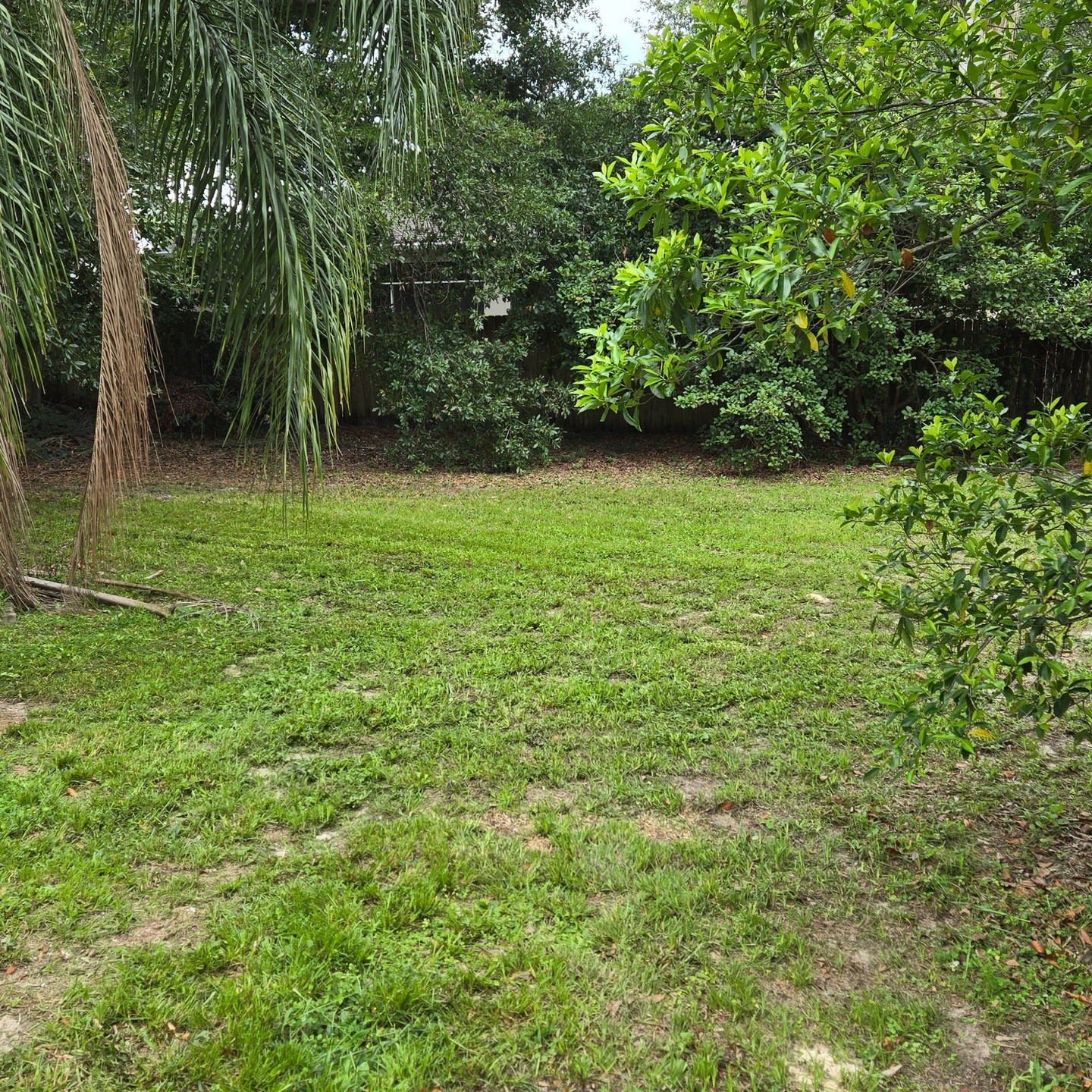 Debary1 After