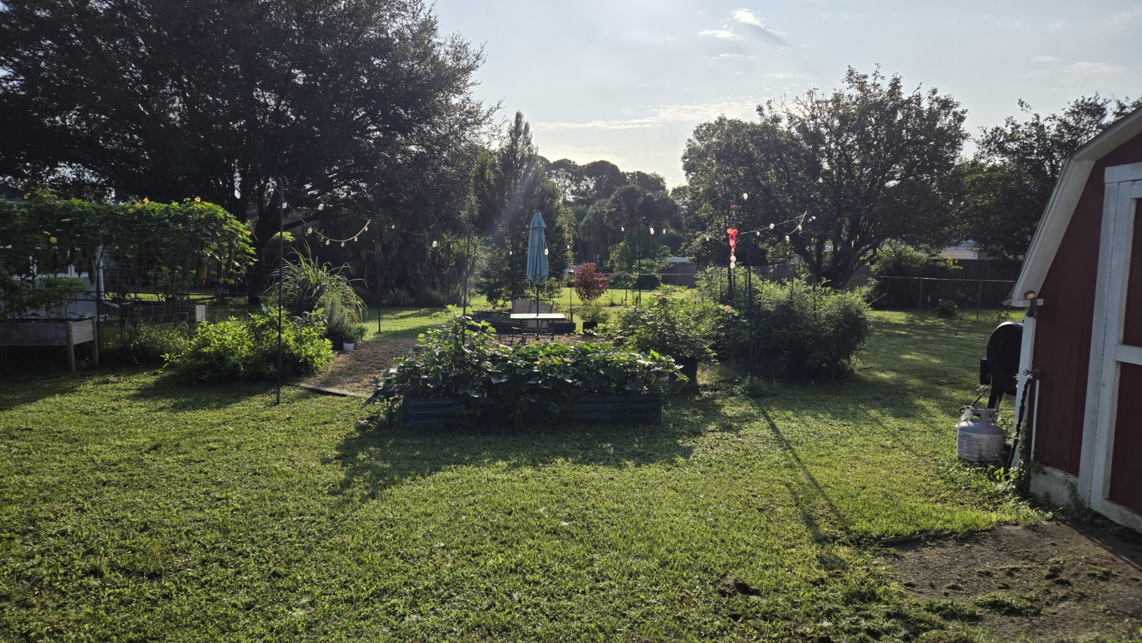 FloraGrow Garden 2024